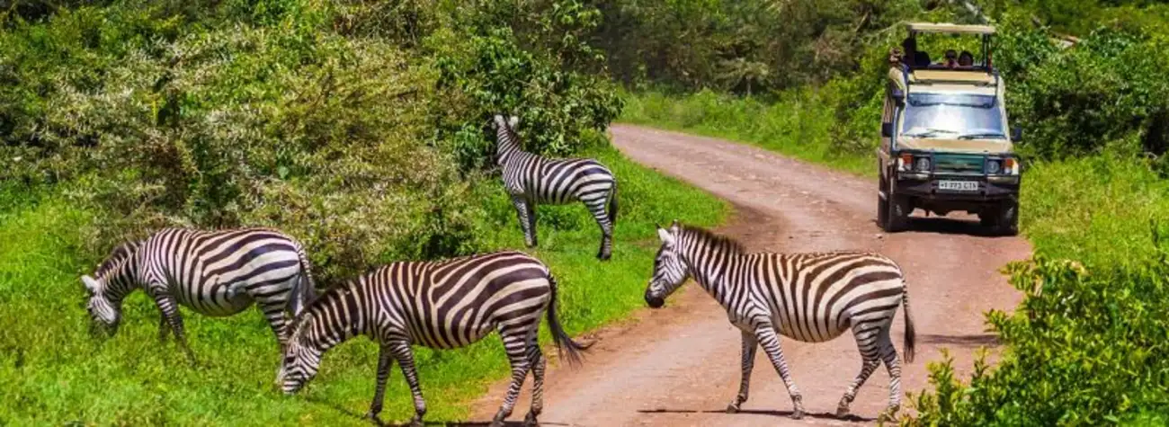 Arusha National Park Tanzania